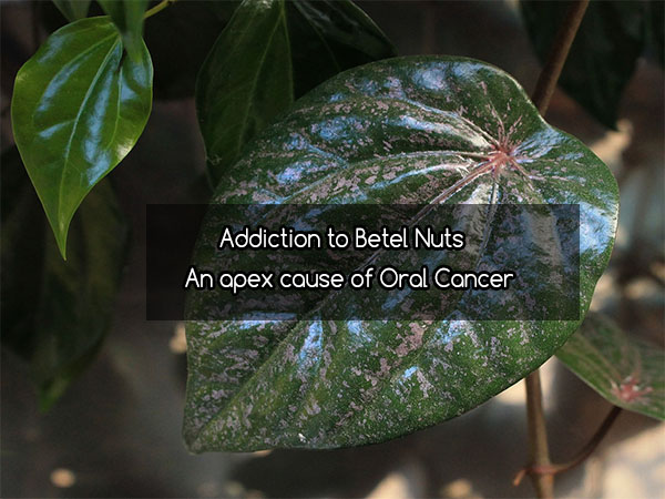 Addiction to Betel Nuts â€“ An apex cause of Oral Cancer